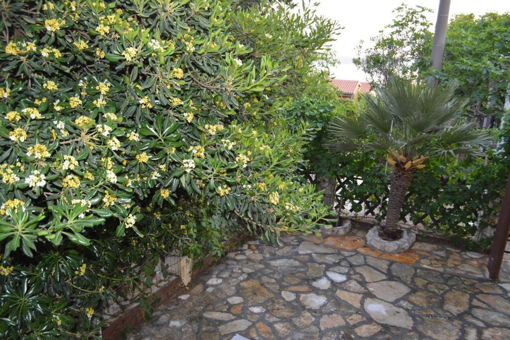 Apartment In Maslenica Jasenice  Exterior foto